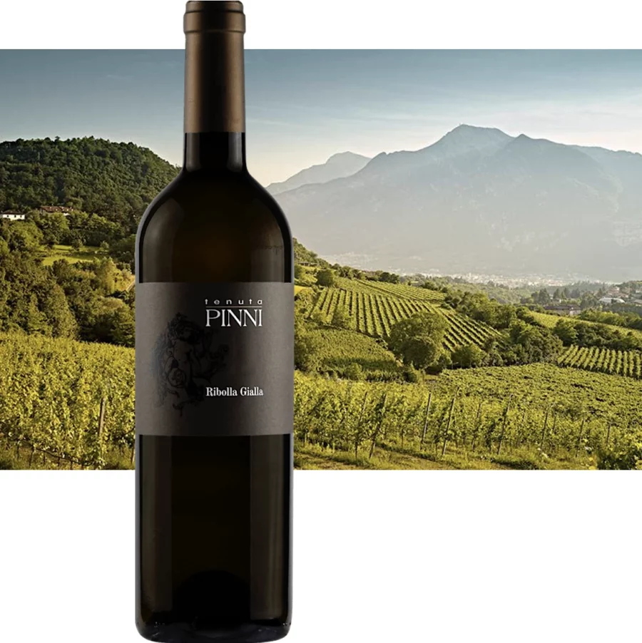 RIBOLLA GIALLA 2021 TENUTA PINNI